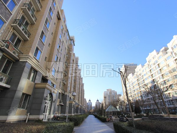 【多图】金港国际,大望路租房,1室1厅 金港国际,朝阳租房-北京58安居