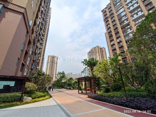 昆明西山前卫营润城八区润城八区 2室1厅1卫 79平 电梯房 精装修出租