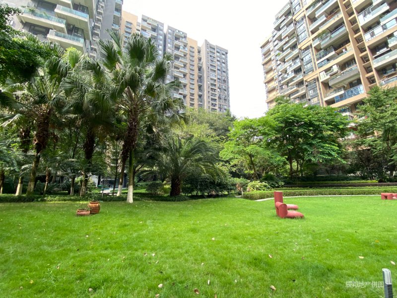 成都房产网>成都二手房>高新区二手房>大源二手房>华润凤凰城(一期)>