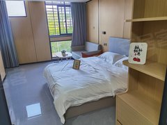 泉州洛江河市镇溪头村公寓房 南北通透 40平 拎包入住出租房源真实图片