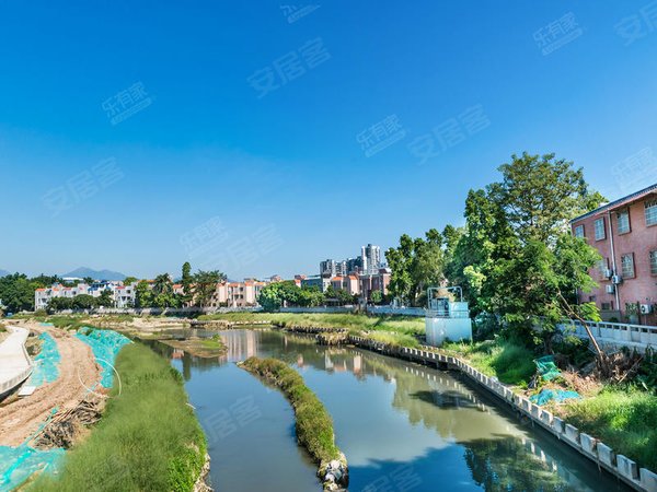 深圳龙岗坪地西湖苑(一期)森广源旁兰陵学校旁万家超市旁西湖苑一期一