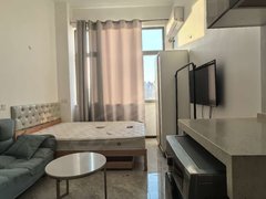 武汉蔡甸恒大绿洲中国健康谷健康新天地 1室1厅1卫  电梯房 精装修25平米出租房源真实图片