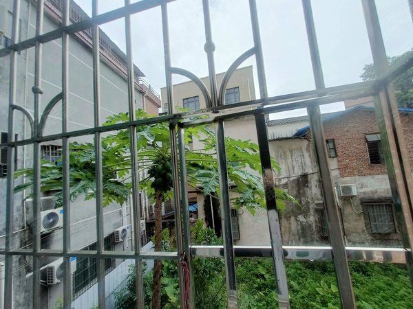 广州番禺南村镇板桥村黄地街1号住宅楼7号线板桥租房一房一厅采光好