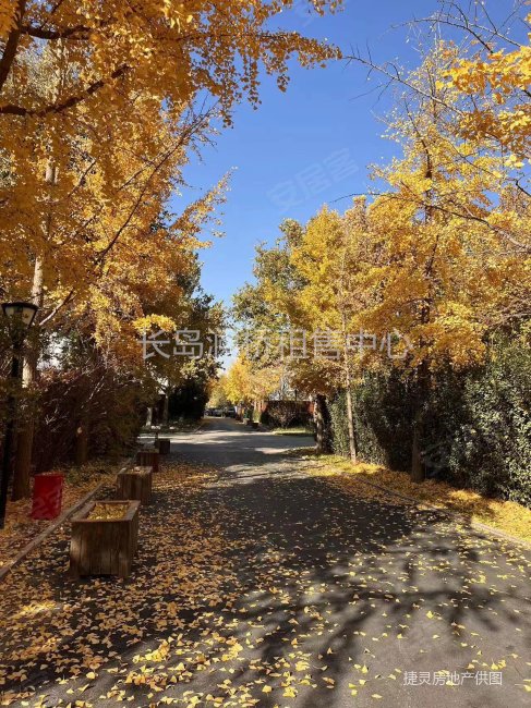 长岛澜桥租售中心(会所二层)直售,4居室,东边户  160平