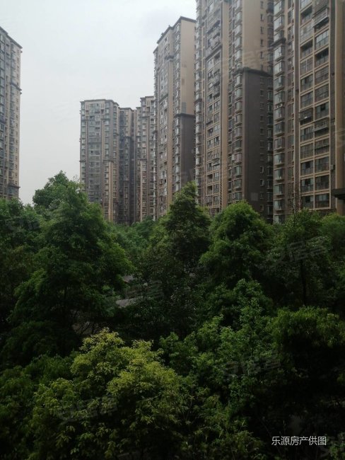 大丰博雅新城 中庭 户型方正 彩光好 温馨舒适 适合居家,博雅新城a区