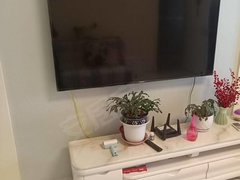 白山浑江浑江大街月交1300，地热，华府新城电梯楼6楼，精装修，长租1000出租房源真实图片