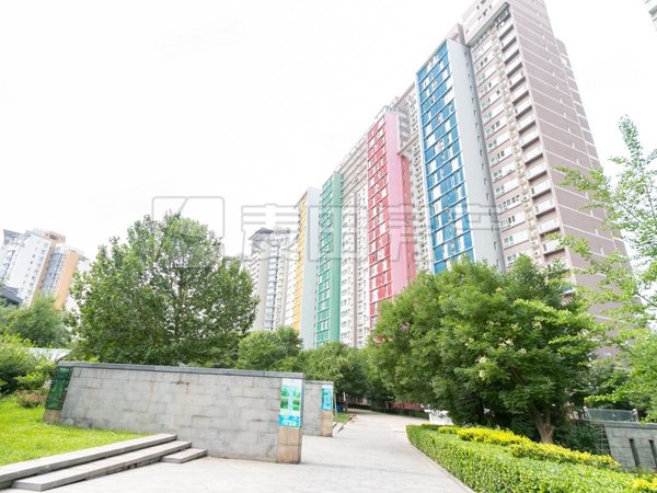 【多图】宝星园,望京租房,望京 宝星园 soho 麒麟社 融科橄榄城