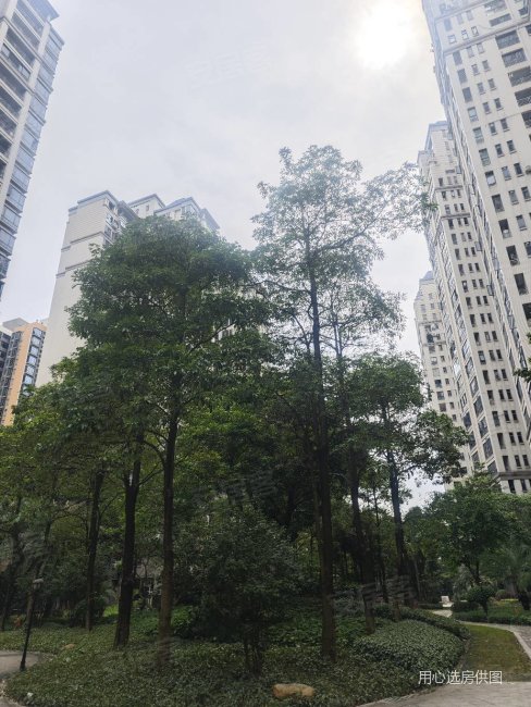 佛山房产网>佛山二手房>南海二手房>城市广场二手房>怡翠馨园>488_650