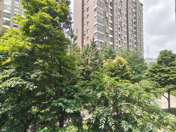 昆明盘龙江东花园金江小区瑞园北京路霖雨桥地铁口294平五房大中空!