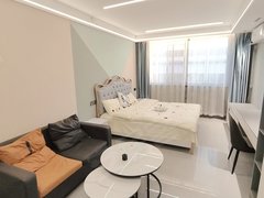 金坛东城华润商业大厦金坛城西精装公寓 靠近金旺 索特 常州合生元产业园 凤凰城出租房源真实图片
