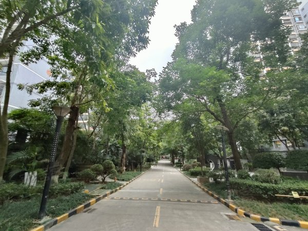 南宁青秀凤岭北凤岭名园弥珍道,单间配套出租,长租短租都可以出租房源