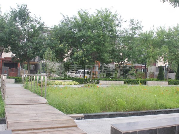 【多图】领秀新硅谷cd区,西二旗租房,南北通透 2室2厅 领秀新硅谷cd区