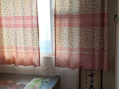 汝州煤山煤山城区蓝湾半岛 3室1厅1卫出租房源真实图片