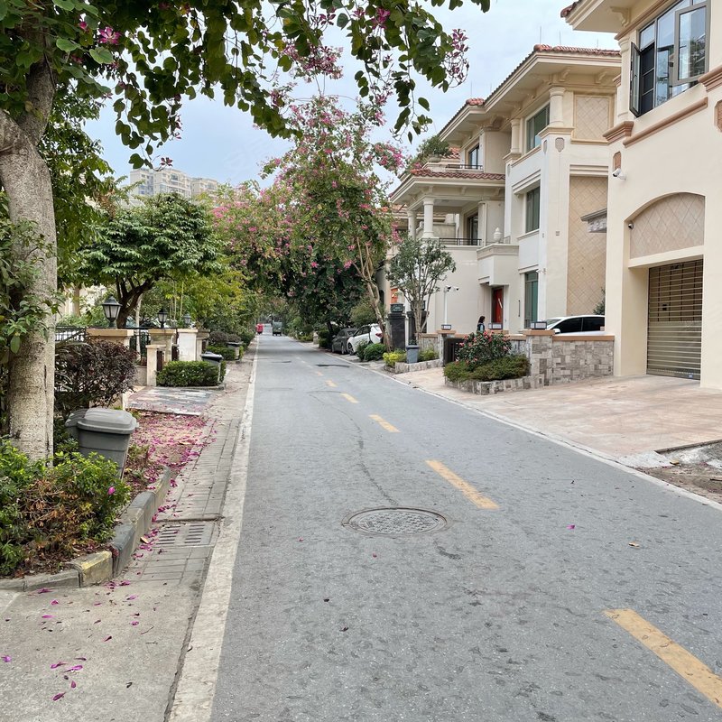 陈池妹 2021-03-29 09:  :57 四会锦绣棕榈园别墅分别是双拼,连排,田