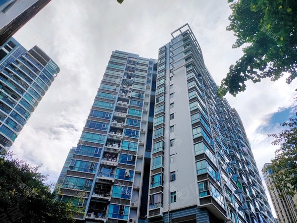 深圳南山蛇口招商海月花园(三期)蛇口深圳湾豪宅海月三期四房出租