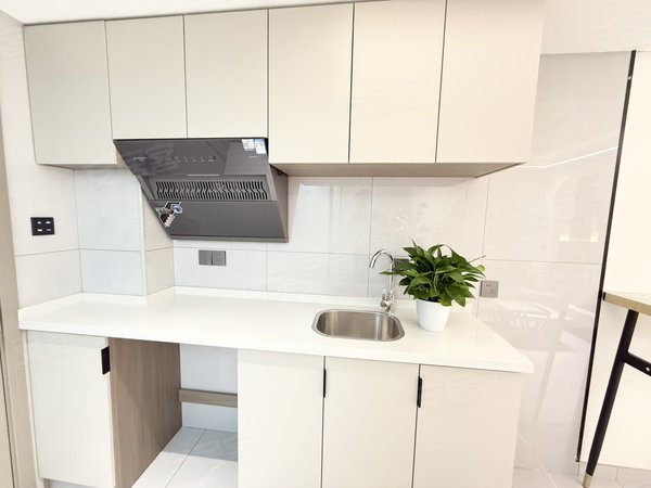 金华东阳东阳江北西范小区山口夜市西范夜市轻奢风全屋智能多户型选择 押一付一拎包入住出租房源真实图片