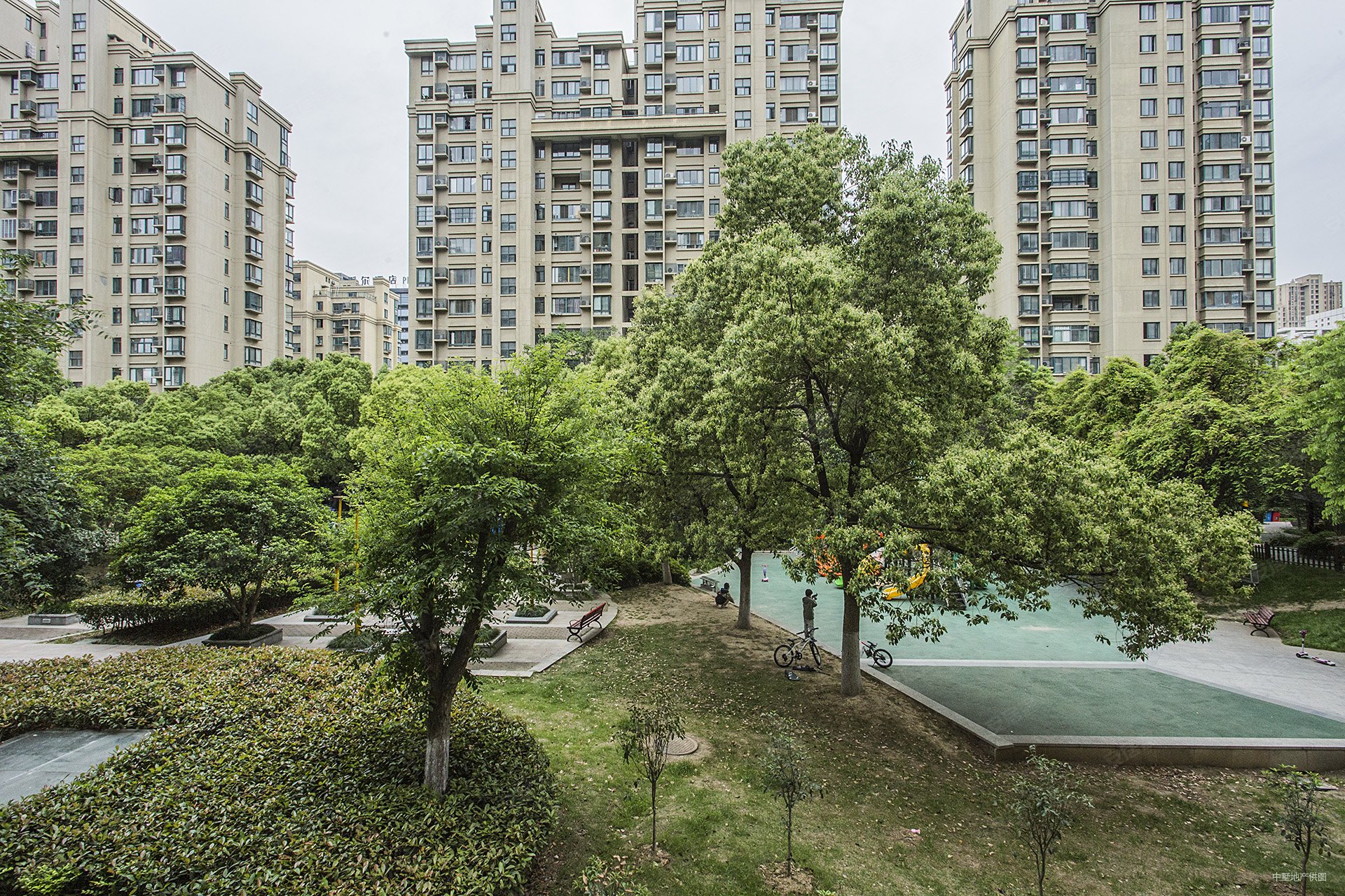 合肥房产网>合肥二手房>政务二手房>合肥八中二手房>国际丽晶城>