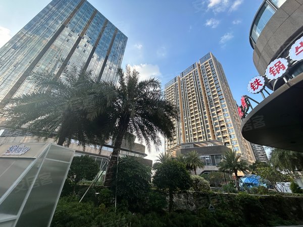 深圳龙岗平湖华南城铁东物流区华南城公寓复式两房商住两用送车位近