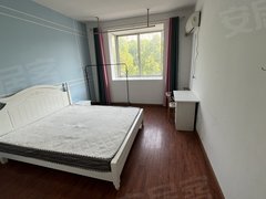 常州武进大学城大学城科教城学府东苑北区主卧独卫出租 押一付一 无线网免费出租房源真实图片