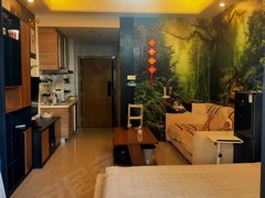 郴州苏仙爱莲湖青年大道 恒大帝景精装公寓出租1280包物业出租房源真实图片