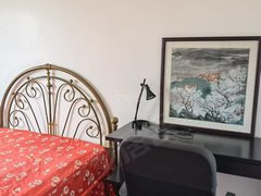 抚顺顺城恒大广场新上新湖国际两室,精装修拎包入住出租房源真实图片
