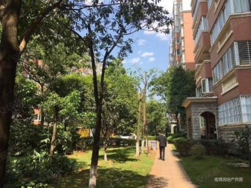 新上急售丨(电梯洋房)南北通透丨产权清晰丨满二丨 即入住,金水湾小区