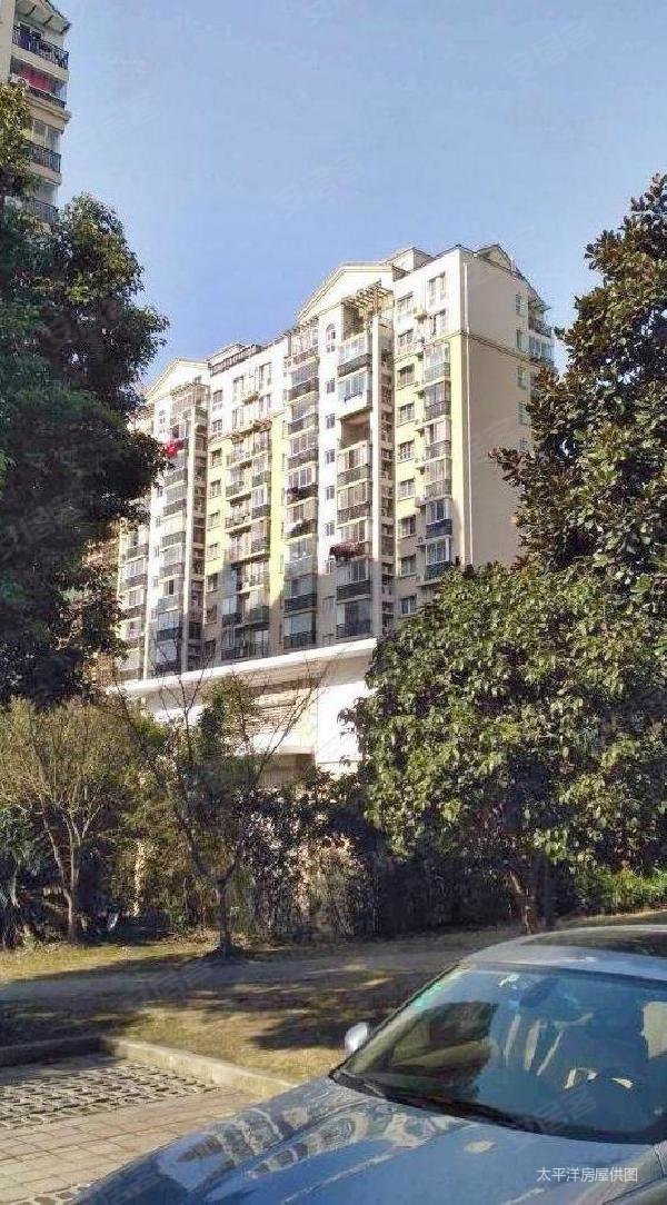 七宝 碧林湾 南北通透 交通便捷 双卫 板楼 小区绿化高,碧林湾(公寓