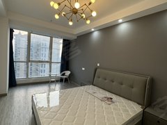 海门海门市区海南路中南城SOHO一室精装 设施全出租房源真实图片