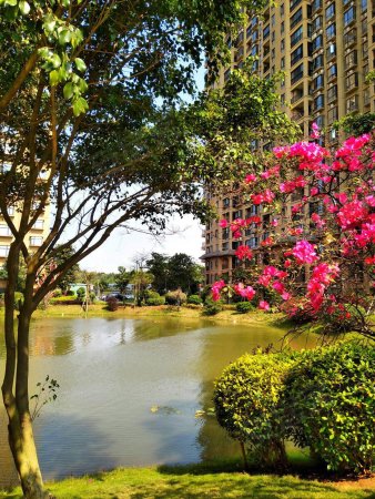 景园悦海湾 海口西 半岛双湾 2 1房 110万/套