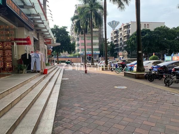 广州海珠广州塔泓景花园(b区)泓景花园 3室2厅2卫 电梯房 精装修出租