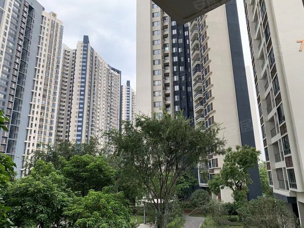 广州花都镜湖大道自由人花园自由人花园 南向三房 精装修 家电齐全