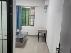 泉州晋江阳光广场全新装修带洗衣机，出租，房dong 无中用。出租房源真实图片