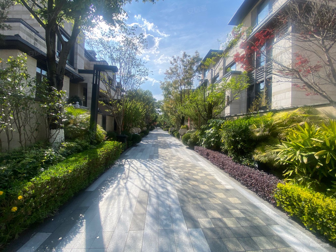 房东亏500万急售滇池路上双拼别墅小区中间位置,华夏天璟湾二手房