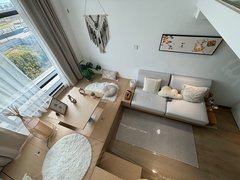 理想城新交付复试公寓，房屋装修设计风格独特