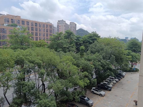 博罗明苑大厦国贸中心精装两房 地铁口 汇一城商圈 明苑大厦 天骄御风