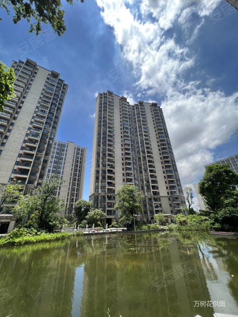 恒大滨江左岸(一期) 急售价格可议 精装三房 南北通透