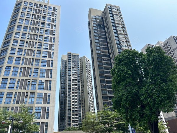 深圳龙岗平湖花果山小区(龙岗)华南城天虹商场旁边 花果山小区两房