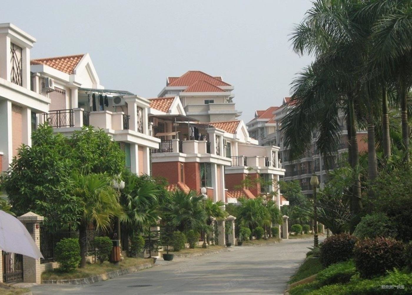 专注全南京别墅紫金山帝豪花园独栋1000平米大院