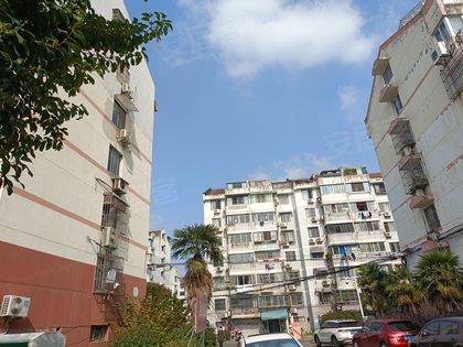 东港二村优点,不足,东港二村怎么样,东港二村周边房产中介经纪人评价