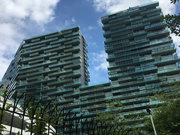 红树西岸