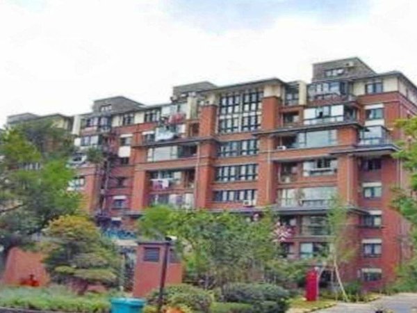 上海宝山大华梧桐城邦(三期别墅)网红,创业者,富豪来看看你们的金屋