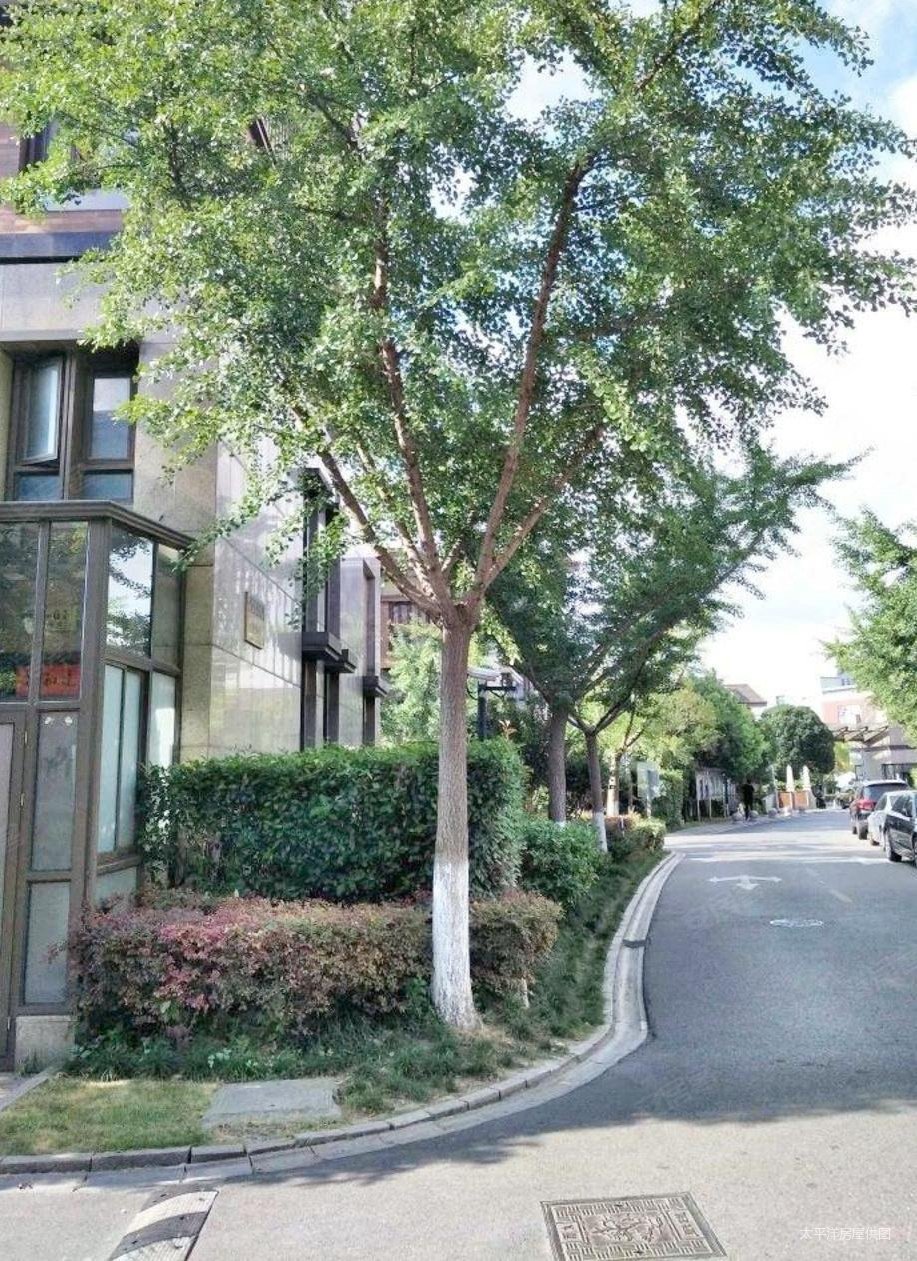 张江高品质小区,精装南北通,周边配套齐全,环境优美,阳光花城(公寓