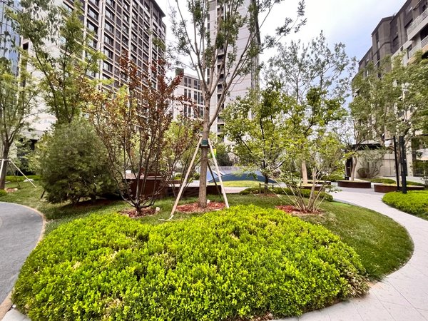 北京朝阳来广营华樾北京(二期)新出好房(业主人特别好)新小区,新楼盘