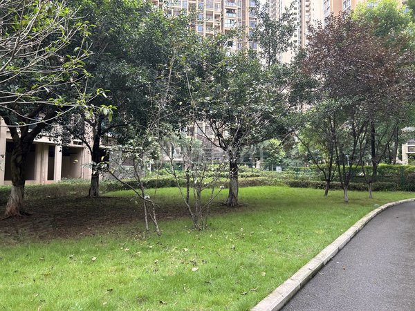 重庆渝北空港长安锦尚城观月轻轨站旁精装两房出租出租房源真实图片