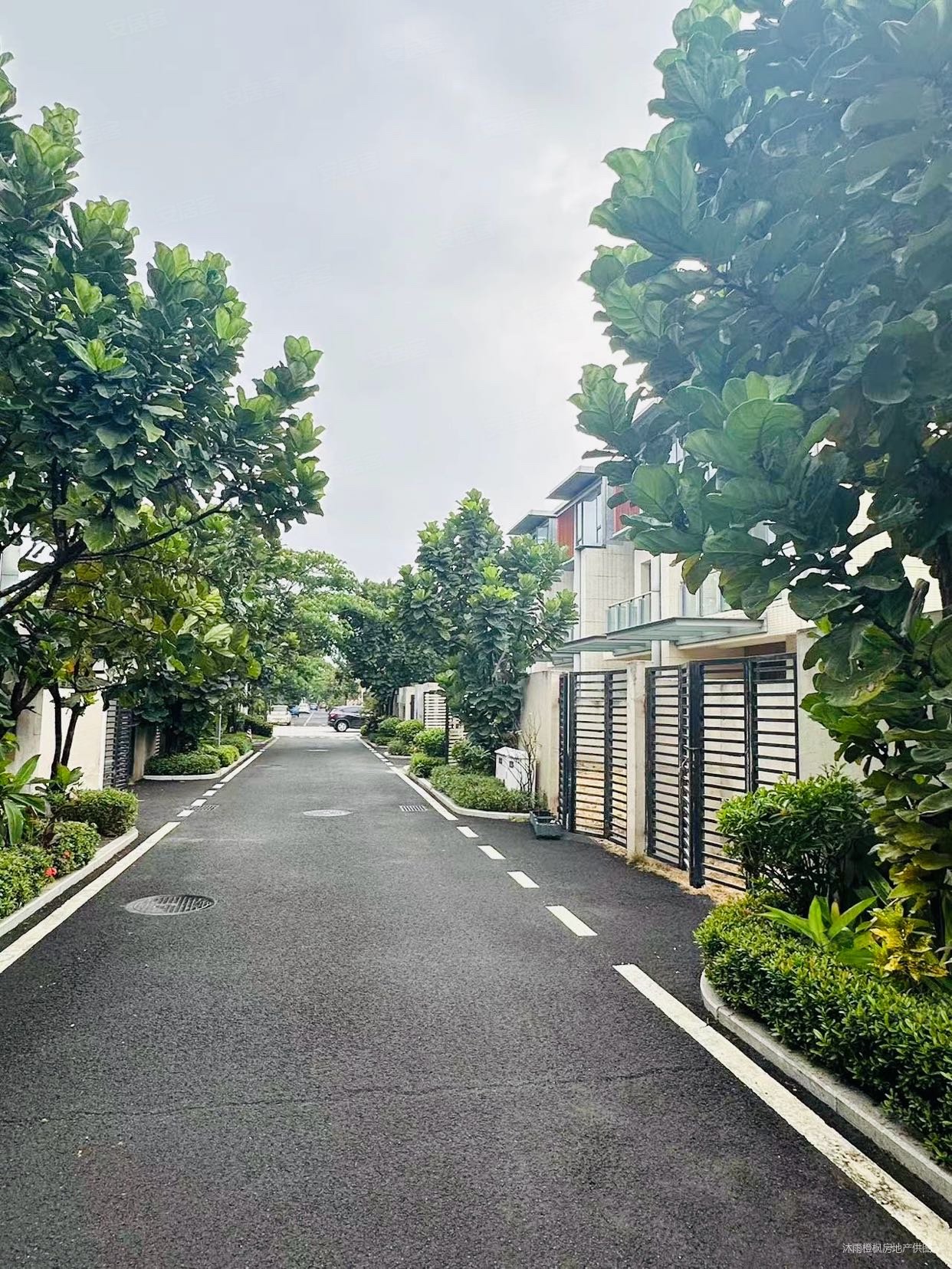 碧桂园中央半岛皇后港|联排边户大花园,毛坯现房,随时看房
