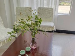 台州仙居吾悦广场玺园 3室2厅2卫出租房源真实图片