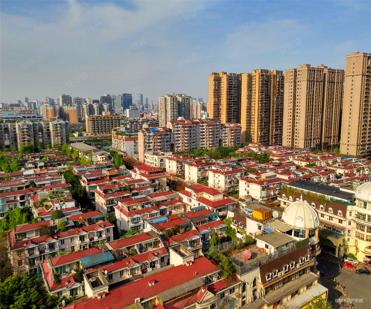 桐梓林 高楼层视野无遮挡 电梯房 交通便利 临地铁 南北通透,中华园