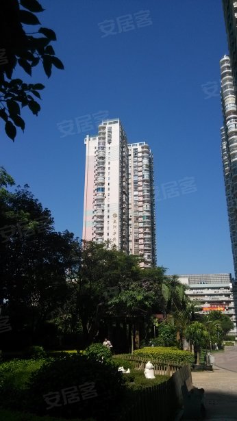 禹洲华侨海景城 - 实景图 48 / 124