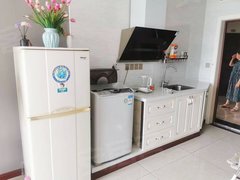 宜宾翠屏下江北万象汇附近临港新天地精装修套一出租房源真实图片