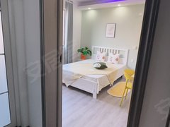 合肥新站职教城实拍干湿分离小套间 押一付一可短租 不收中届看房费 停车免费出租房源真实图片
